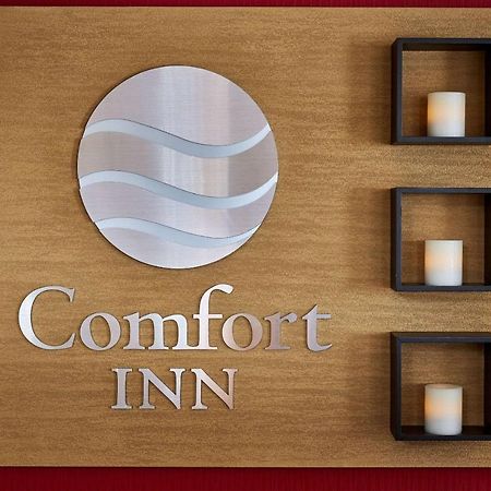 Comfort Inn Rouyn Ngoại thất bức ảnh