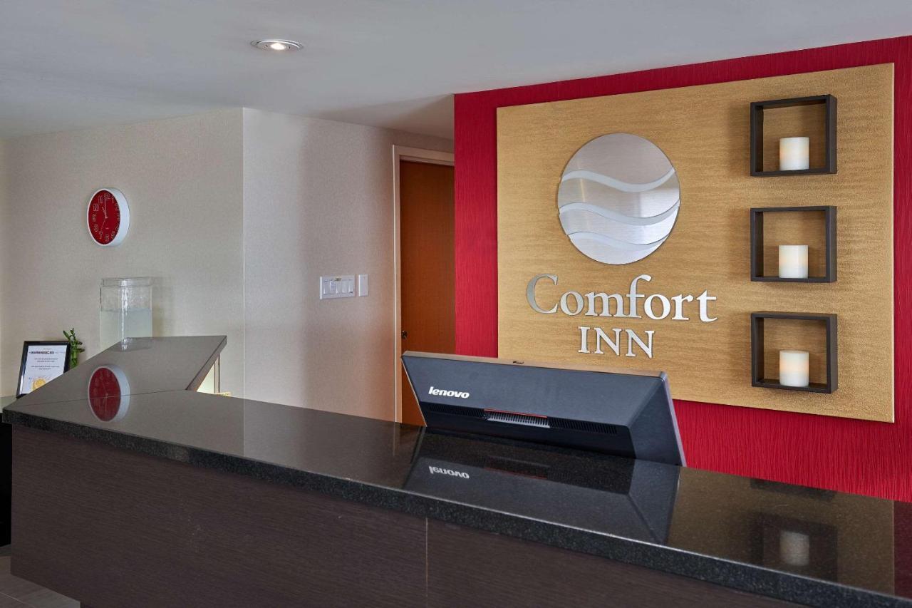 Comfort Inn Rouyn Ngoại thất bức ảnh