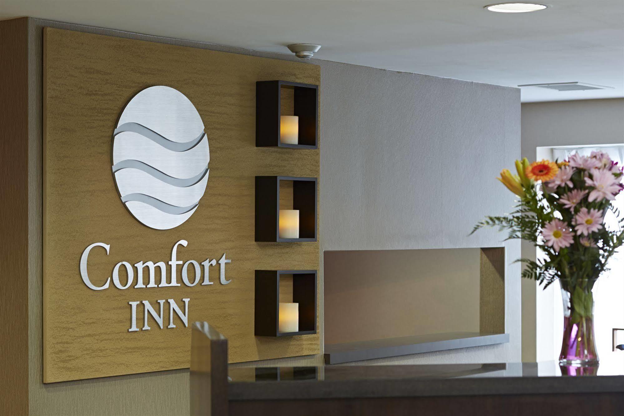 Comfort Inn Rouyn Ngoại thất bức ảnh